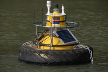 Estuarine monitoring bouy in the tidal reaches of the Hoteo River