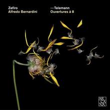 Zefiro bigger
