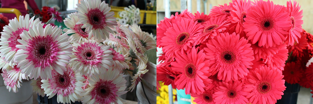 flowers bar