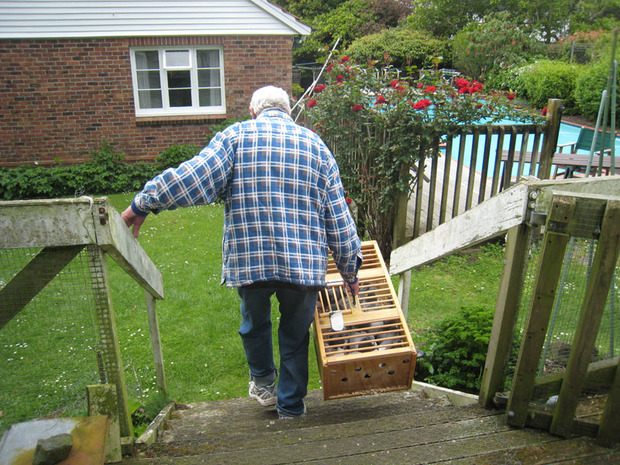 Mac with some of his boxed racing hens