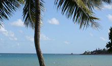 original Tropical Pacific